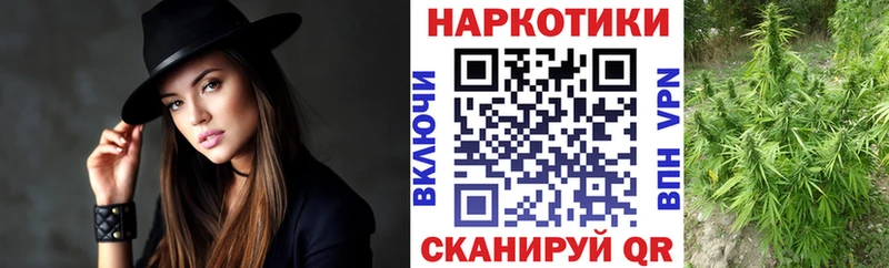 Купить наркоту Вязники Гашиш  Конопля  Меф мяу мяу 