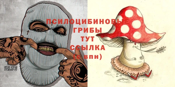 Альфа ПВП Бугульма