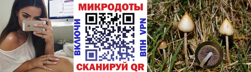 Галлюциногенные грибы Psilocybine cubensis  Вязники 