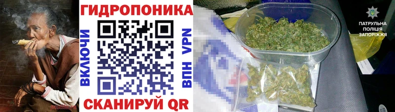 mega ссылка  дарк нет какой сайт  Бошки марихуана VHQ  Вязники 